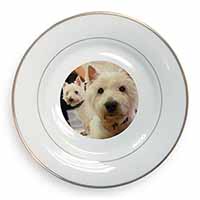 West Highland Terrier Dogs Gold Rim Plate Printed Full Colour in Gift Box