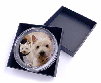 West Highland Terrier Dogs Glass Paperweight in Gift Box