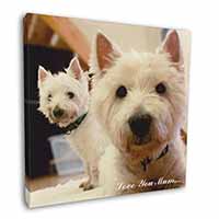 Westie Dogs 