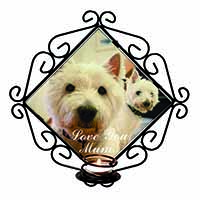 Westie Dogs 