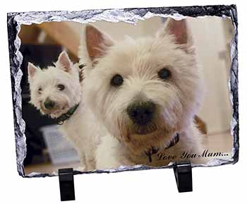 Westie Dogs 