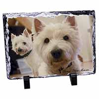 Westie Dogs 