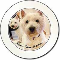 Westie Dogs 