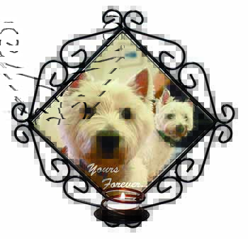 Westie Dog 