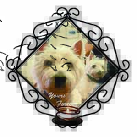 Westie Dog 