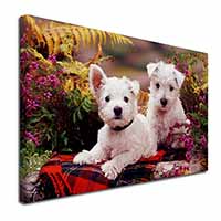 West Highland Terriers Canvas X-Large 30"x20" Wall Art Print