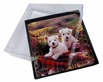 4x West Highland Terriers Picture Table Coasters Set in Gift Box