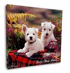 West Highland Terriers 