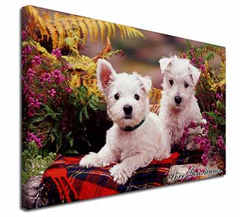 West Highland Terriers 