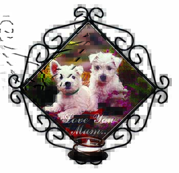 West Highland Terriers 