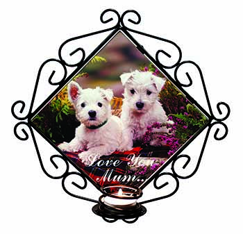 West Highland Terriers 