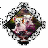West Highland Terriers 