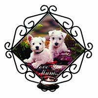 West Highland Terriers 