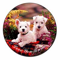 West Highland Terriers 