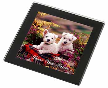 West Highland Terriers 