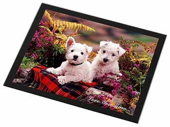 West Highland Terriers 