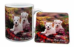 West Highland Terriers 