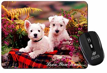 West Highland Terriers 