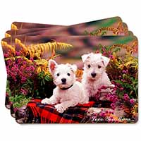 West Highland Terriers 