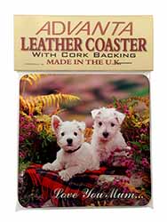 West Highland Terriers 