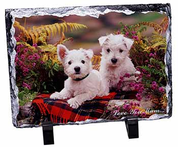 West Highland Terriers 