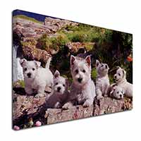 West Highland Terrier Dogs Canvas X-Large 30"x20" Wall Art Print