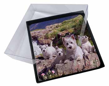 4x West Highland Terrier Dogs Picture Table Coasters Set in Gift Box