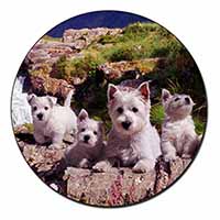West Highland Terrier Dogs Fridge Magnet Printed Full Colour