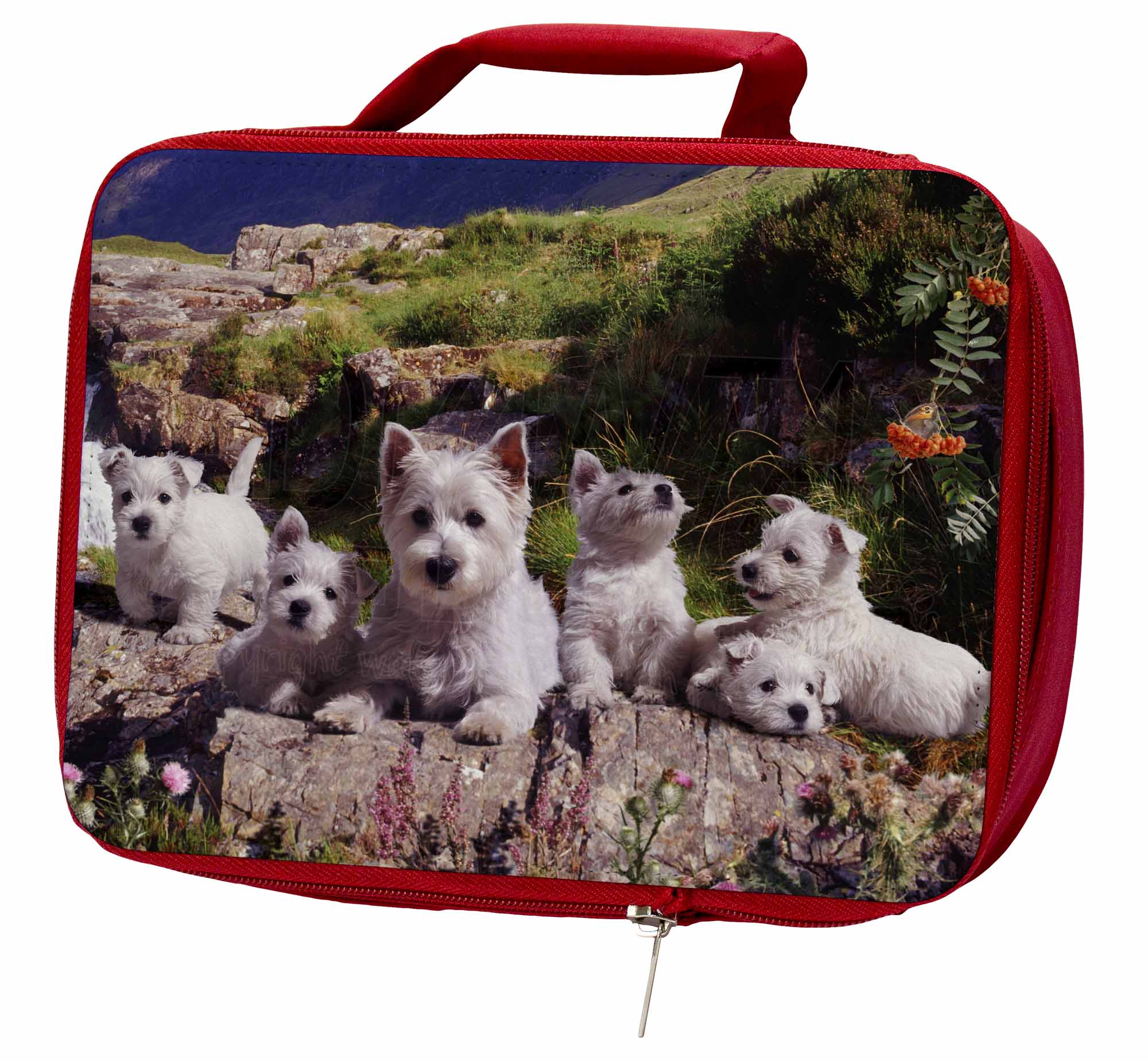 West Highland Terrier Dogs Insulated Red School Lunch Box/Picnic Bag, AD-W4LBR West Highland Terrier Dogs Insulated Bag, Red School Lunch Box/Picnic Bag, Insulated AD-W4LBR 53c354