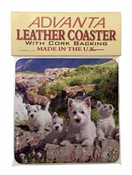 West Highland Terrier Dogs Single Leather Photo Coaster