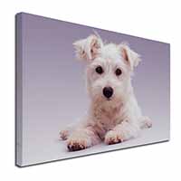 West Highland Terrier Dog Canvas X-Large 30"x20" Wall Art Print