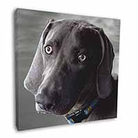 Weimaraner Dog  Square Canvas 12"x12" Wall Art Picture Print