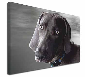 Weimaraner Dog  Canvas X-Large 30"x20" Wall Art Print