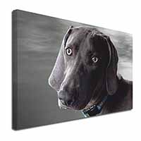 Weimaraner Dog  Canvas X-Large 30"x20" Wall Art Print