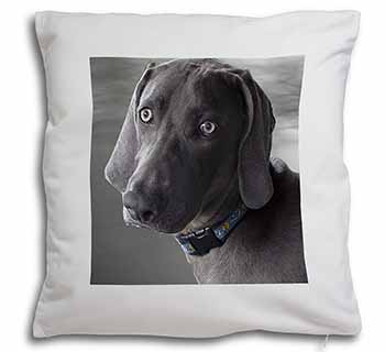 Weimaraner Dog  Soft White Velvet Feel Scatter Cushion