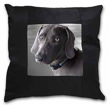 Weimaraner Dog  Black Satin Feel Scatter Cushion