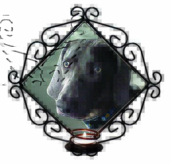 Weimaraner Dog  Wrought Iron Wall Art Candle Holder