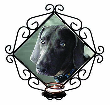 Weimaraner Dog  Wrought Iron Wall Art Candle Holder