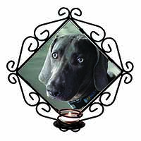 Weimaraner Dog  Wrought Iron Wall Art Candle Holder