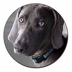 Weimaraner Dog  Fridge Magnet Printed Full Colour