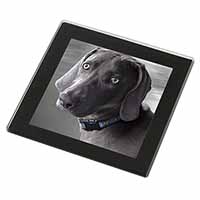 Weimaraner Dog  Black Rim High Quality Glass Coaster