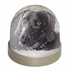 Weimaraner Dog  Snow Globe Photo Waterball
