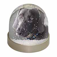 Weimaraner Dog  Snow Globe Photo Waterball