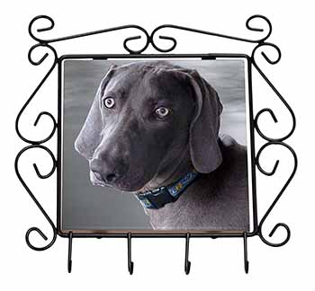 Weimaraner Dog  Wrought Iron Key Holder Hooks