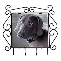 Weimaraner Dog  Wrought Iron Key Holder Hooks