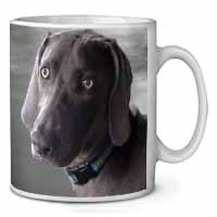 Weimaraner Dog  Ceramic 10oz Coffee Mug/Tea Cup