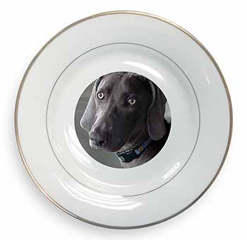 Weimaraner Dog  Gold Rim Plate Printed Full Colour in Gift Box