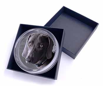 Weimaraner Dog  Glass Paperweight in Gift Box