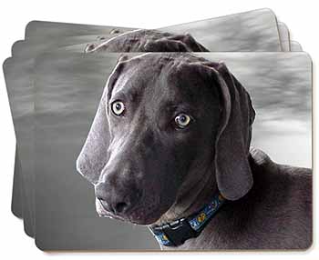 Weimaraner Dog  Picture Placemats in Gift Box