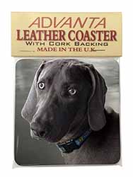 Weimaraner Dog  Single Leather Photo Coaster